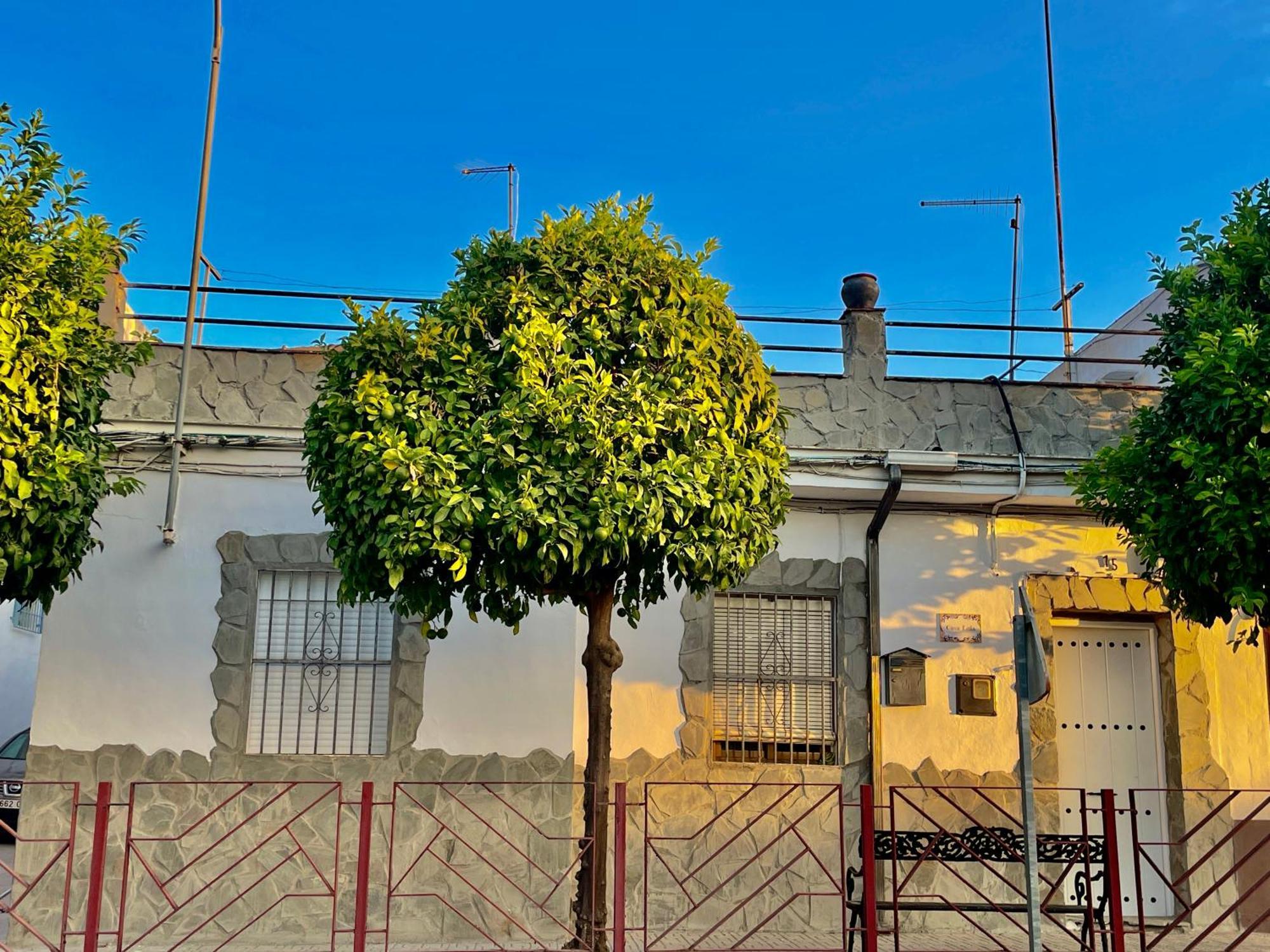 فيلا Casa Lula Villafranca de Córdoba المظهر الخارجي الصورة